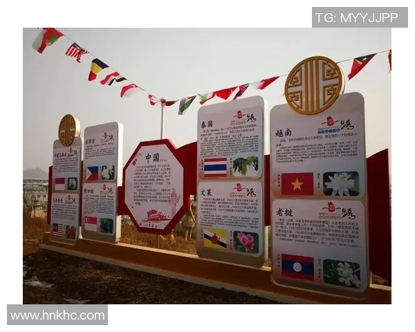 南京排球队的节奏变革引发热议新策略与新风貌的碰撞与融合